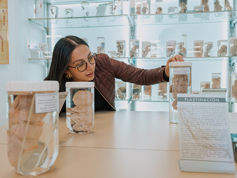 Fotos Admisiones pre