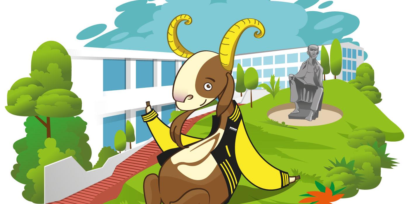 Texto alternativo imagen