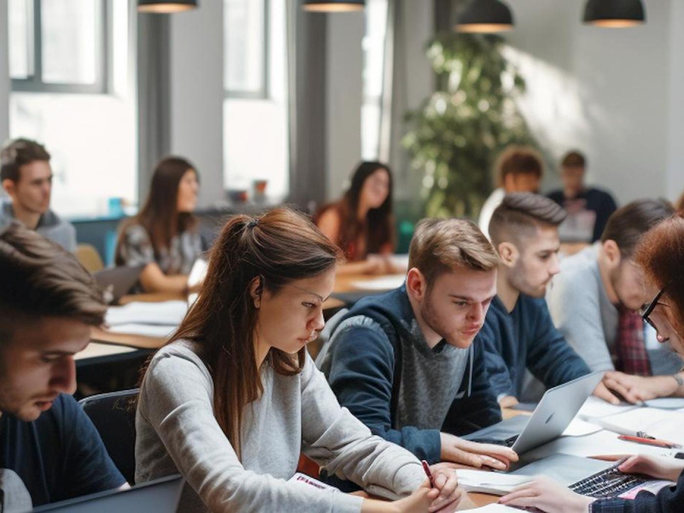 Imagen de referencia